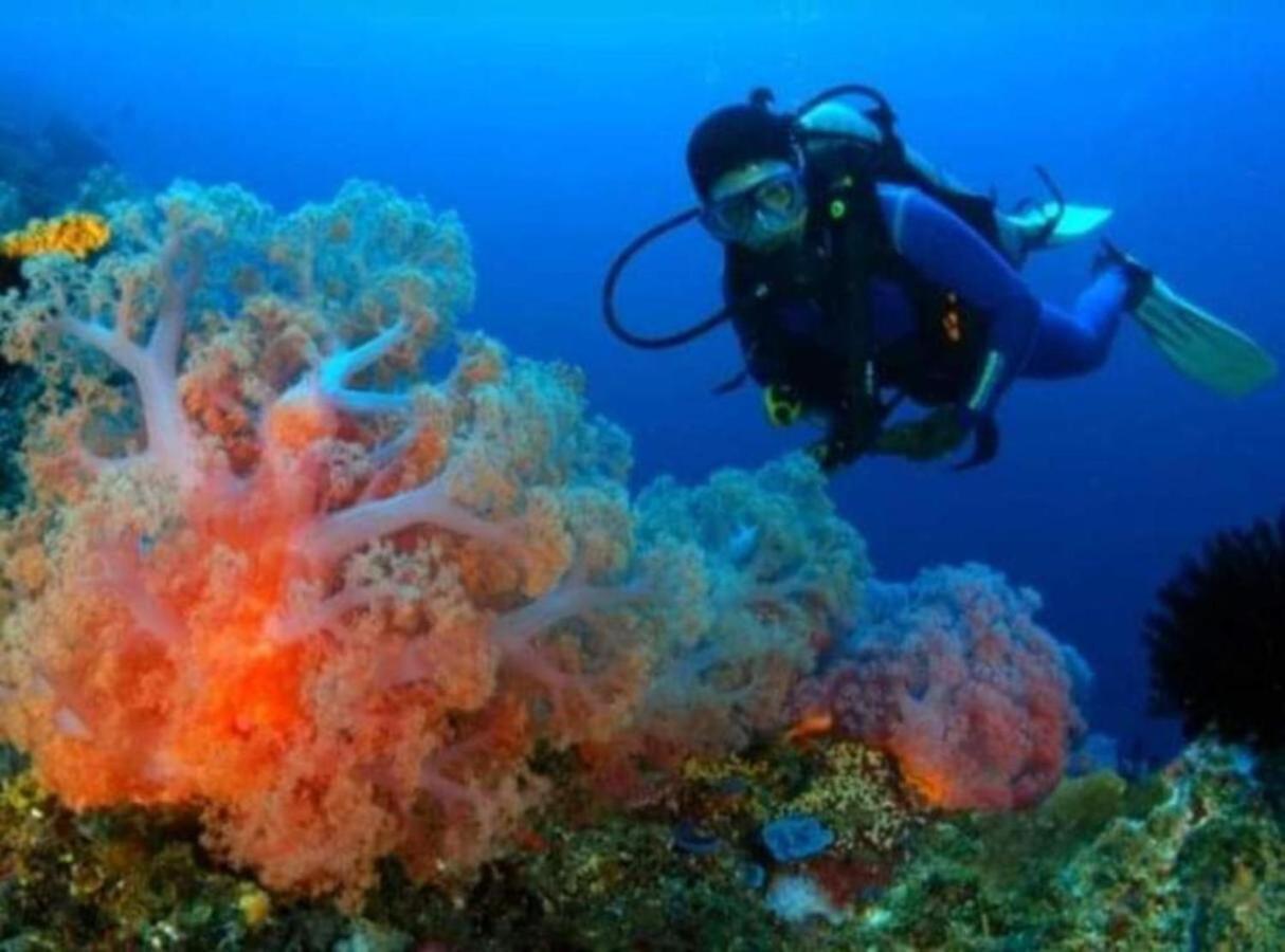 Maha Nusa Menjangan Banyuwedang Exterior foto