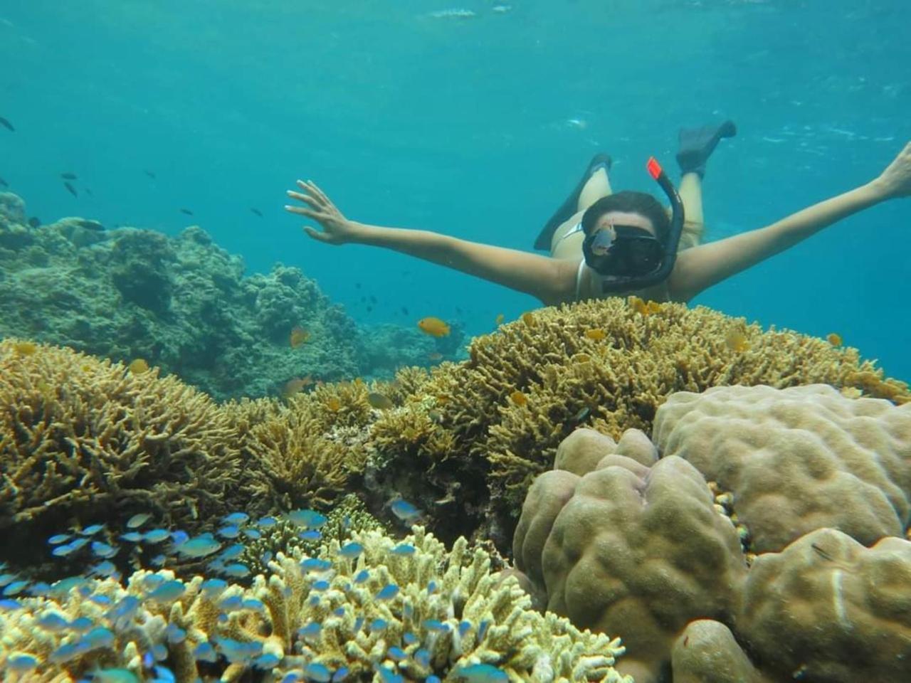 Maha Nusa Menjangan Banyuwedang Exterior foto
