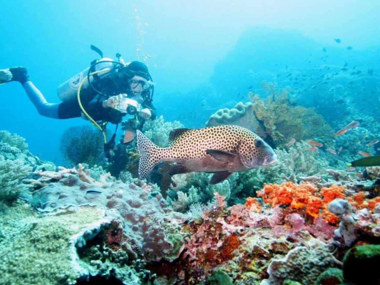 Maha Nusa Menjangan Banyuwedang Exterior foto